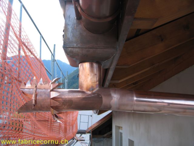 bv000017.jpg