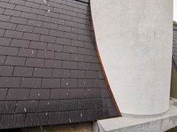 IMG_20200226_134139